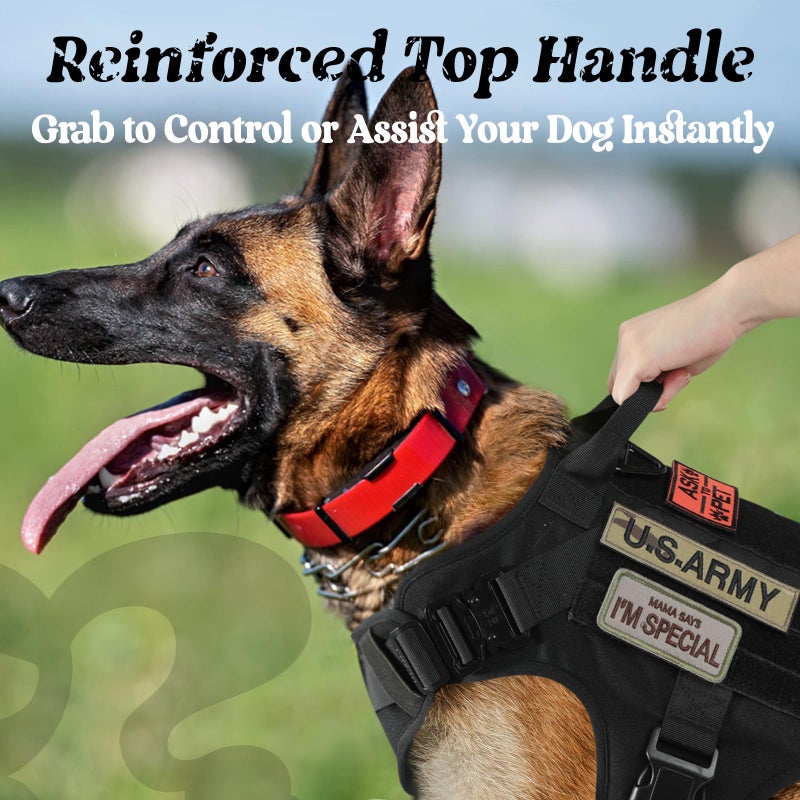 rabbitgoo Tactical Dog Harness Medium Sized, Heavy Duty Pet Harness with Handle, No-Pull Service Vest Medium Breed, Adjustable Military Dog Vest for Training Hunting Walking, Black, M - Image 4
